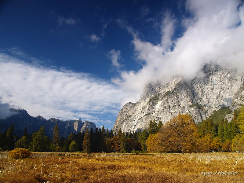 20091027_wildLink_Oct09_0278.JPG