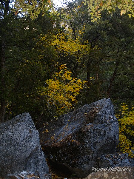 20091030_WildLink_PickUp_0462.JPG