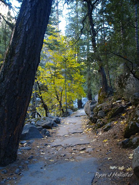 20091030_WildLink_PickUp_0468.JPG