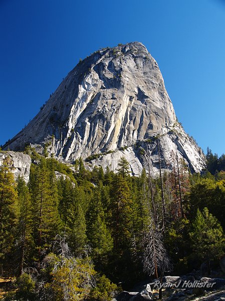 20091030_WildLink_PickUp_0488.JPG - Liberty Cap.