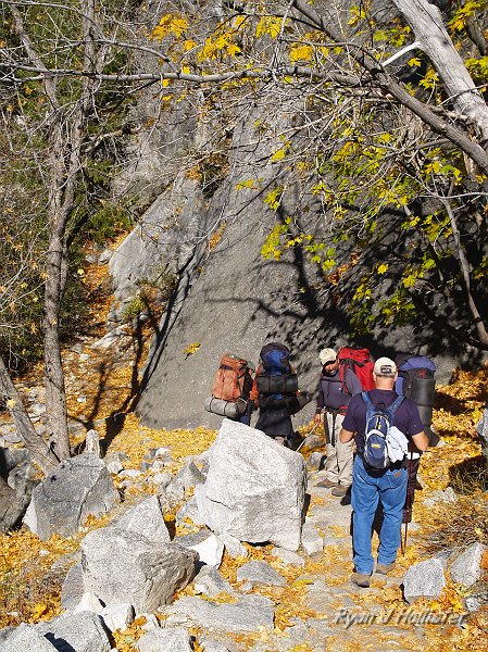 20091030_WildLink_PickUp_0510.JPG