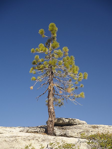 20090927_wildlink_0154.JPG