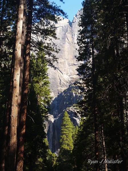 20090928_wildlink_0068.JPG - Yosemite Falls (in the spring!).