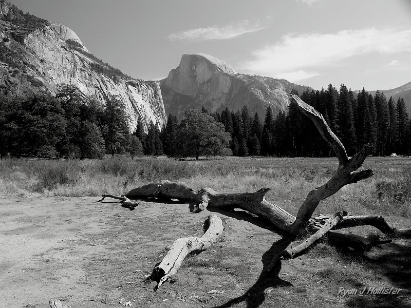 20090928_wildlink_0092.JPG - After watching the Ken Burns film, I'm amazed that there is any meadow left in Yosemite Valley.