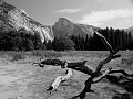 20090928_wildlink_0092