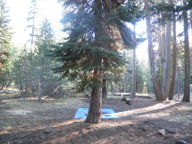 DSCN0391.JPG