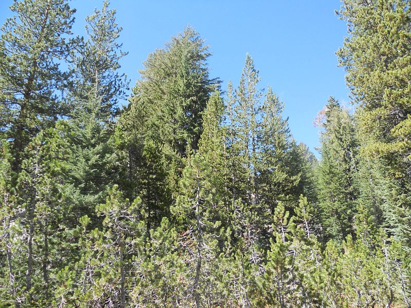 DSCN0417.JPG