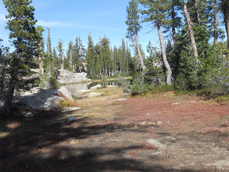 DSCN0436.JPG