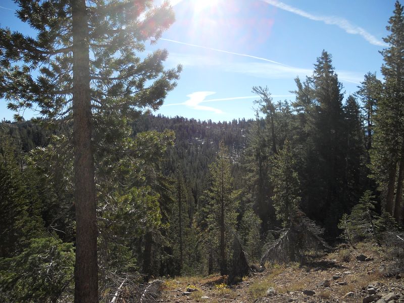 DSCN0497.JPG