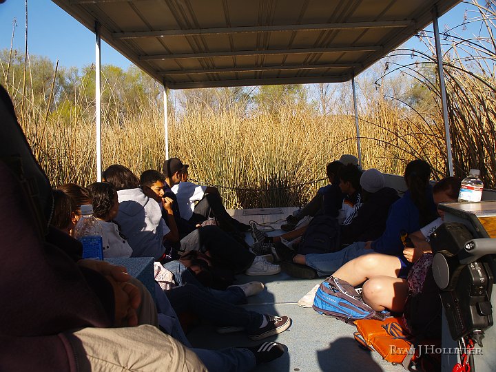 _4027546.JPG - Into the Tule reeds.