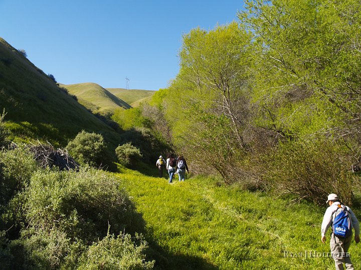 _4027573.JPG - We dropped down next to the creek to learn about the riparian habitat.