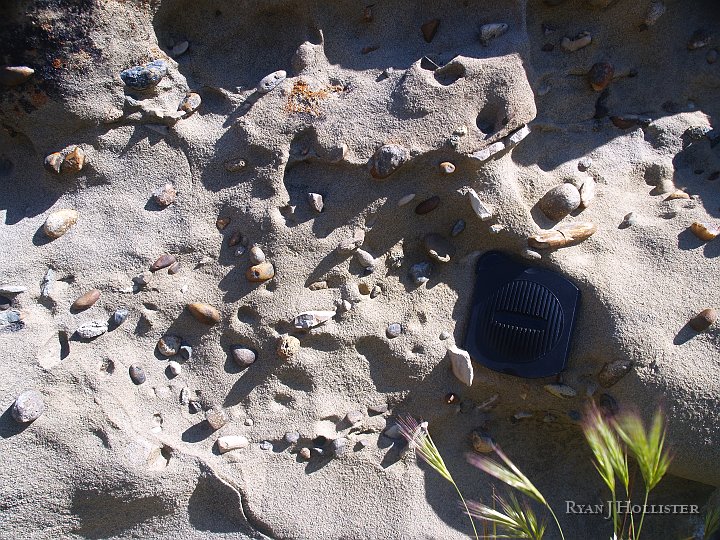_4027633.JPG - scale.