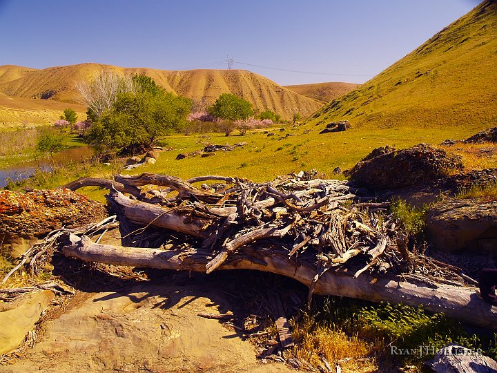 _4027635.JPG - Remnants of the 1997 flood along Los Banos Creek.