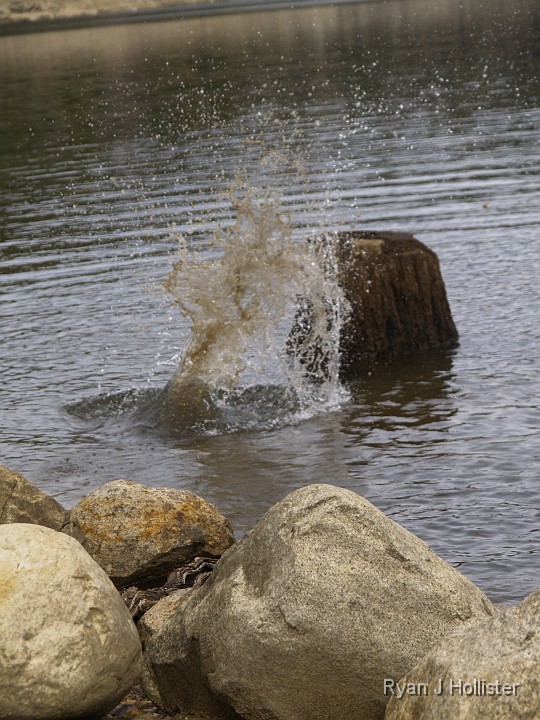 _B085457.JPG - I give her splash a 7 / 10