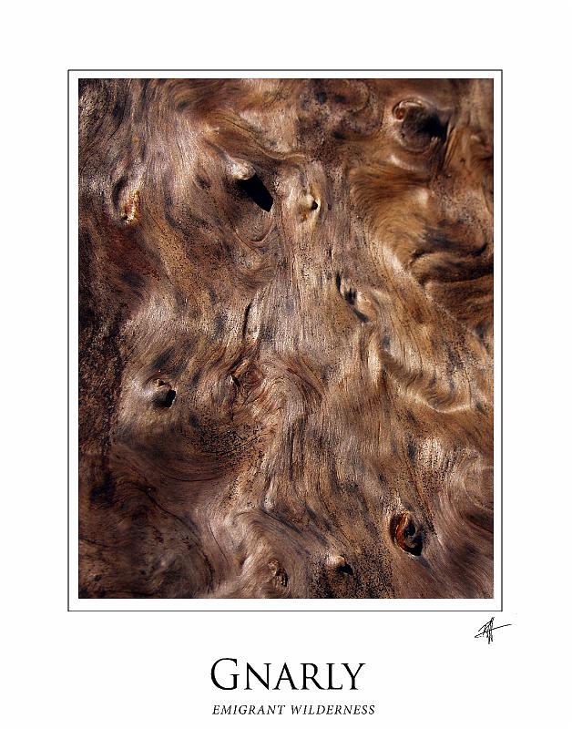 gnarly_old_bark_frame