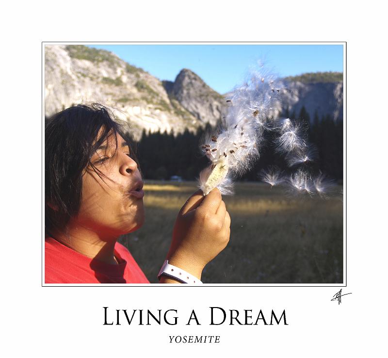 living_a_dream_frame