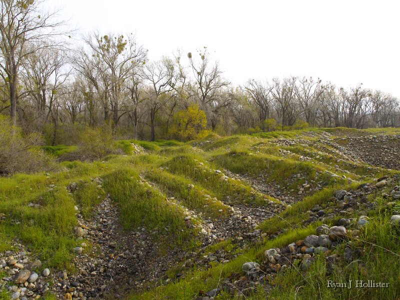 SanJoaquinEtAl18.JPG - Gold dredge tailings along Merced River floodplain near Snelling, CA.