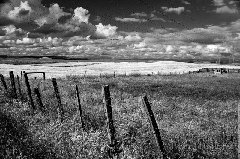 foothill_cumulus.jpg - 15 Cumulus Clouds over Foothill Prairies - Oakdale, CA.