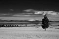 mono_BW