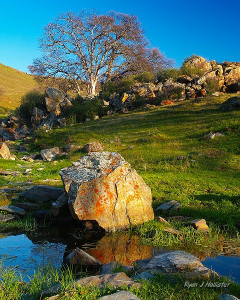 McSwain_Creek.jpg - Seasonal vernal creek -Near McSwain Reservoir.