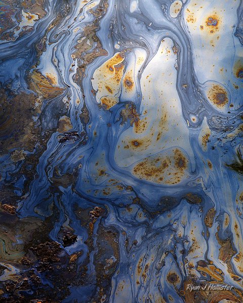 la_brea_slick.jpg - Oil Slick - La Brea Tar Pits