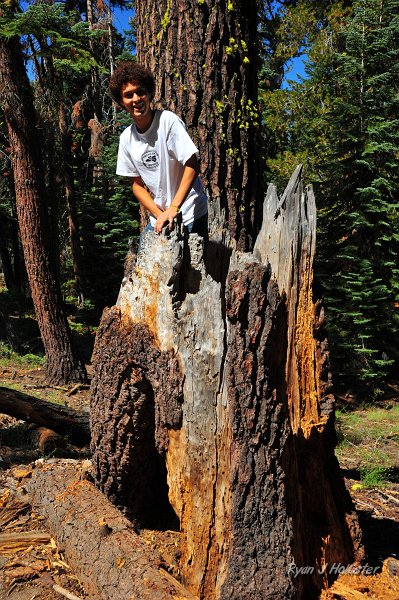 RJH_5309.JPG - Ricky's good at finding holes in logs.