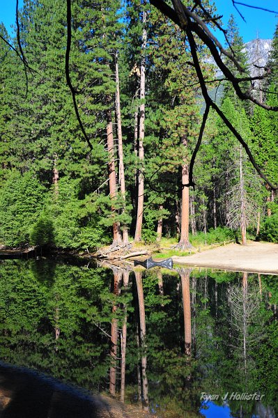 RJH_5375.JPG - The reflections on the Merced River were pretty good, no?