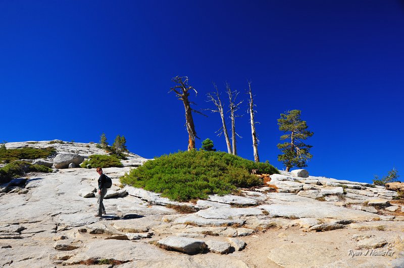 RJH_5478.JPG - After dropping off the kids, we hike Sentinel Dome.