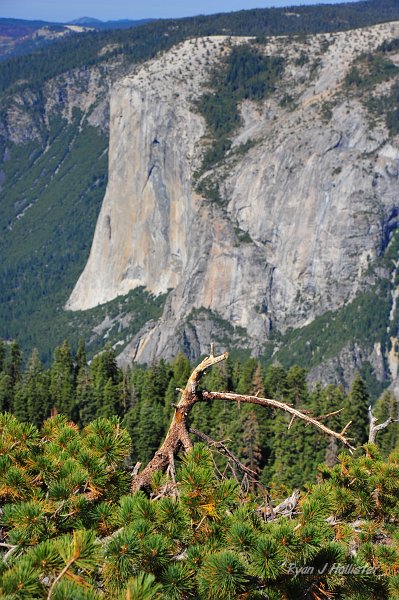 RJH_5498.JPG
