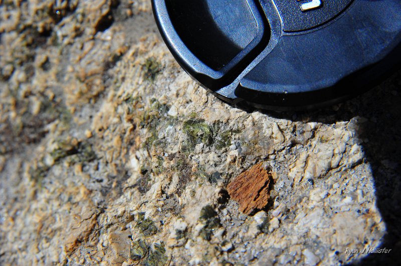 RJH_5531.JPG - Epidote?
