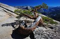 RJH_5519