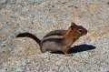 RJH_5537