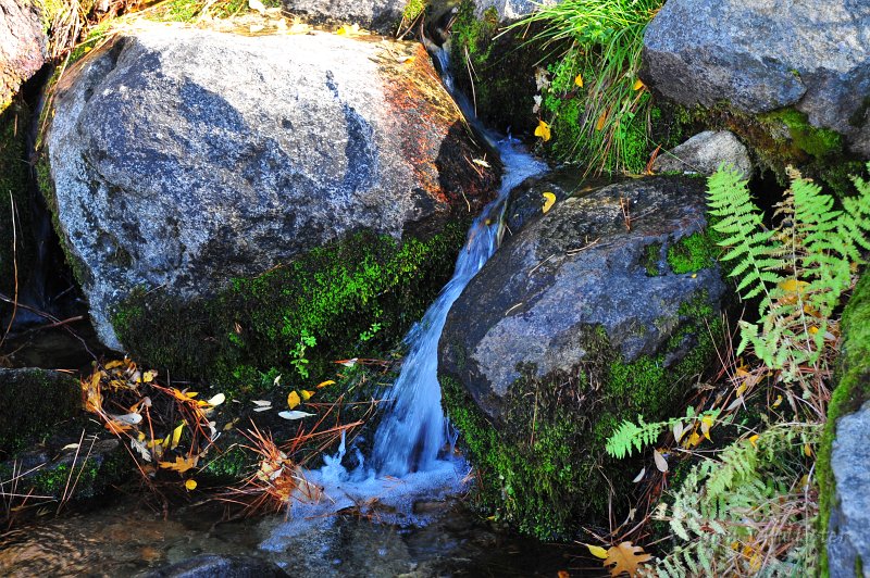 RJH_6537.JPG - Pretty little creek crossing the trail.