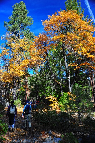 RJH_6557.JPG - Lovely day on the trail.