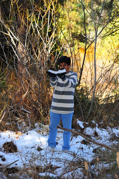 RJH_6569.JPG - Israel has a snow and needle layer.