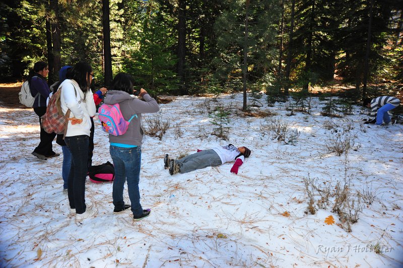 RJH_6570.JPG - Liz learns the hard way that old snow only an inch thick doesn't make for good snow angels.