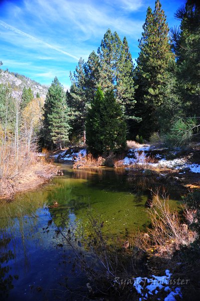 RJH_6608.JPG