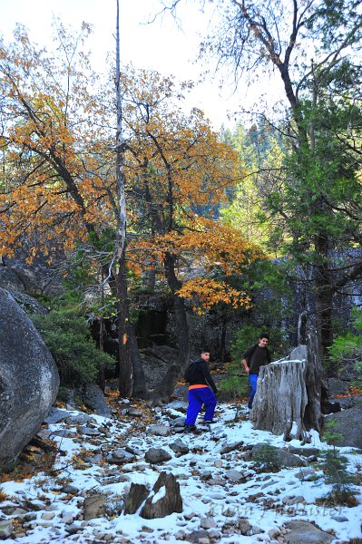 RJH_6613.JPG - Uh, wrong way guys.