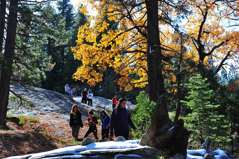 RJH_6625.JPG - Back on the correct path...