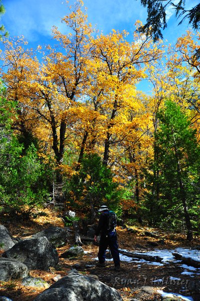 RJH_6634.JPG - My mom was a bit to nervous to enjoy the colors around her.