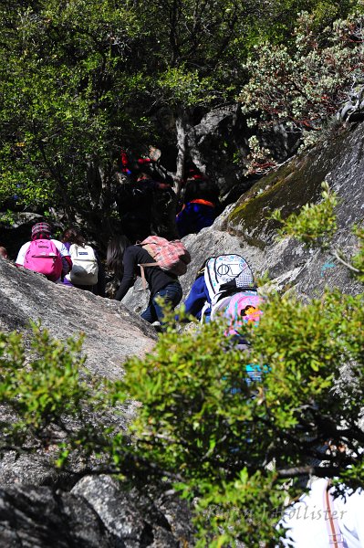 RJH_6642.JPG - Everyone worked very hard to make sure everyone safely made it to the top.