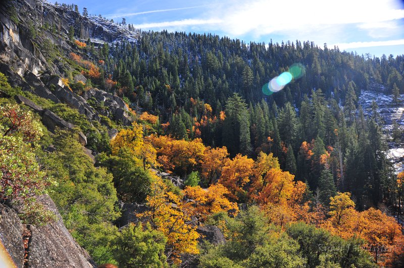 RJH_6644.JPG - Shazaam! What color!