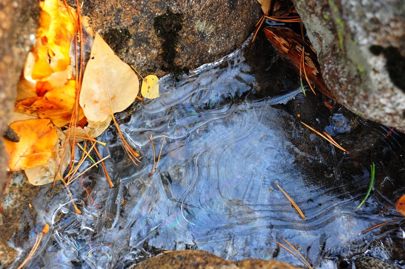 RJH_6666.JPG - Ice, ice baby...