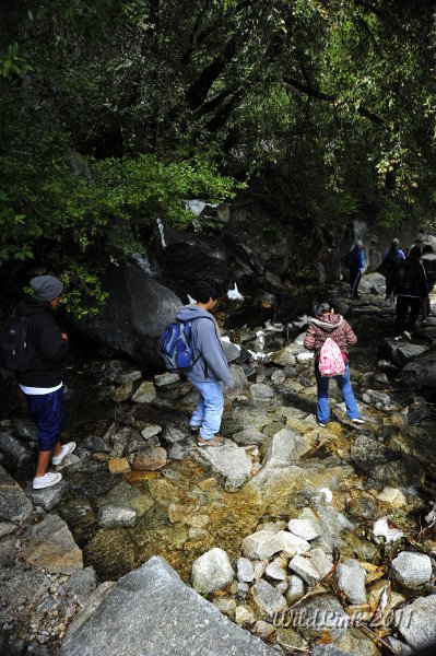 _RJH0029.JPG - Mike, Israel & Gigi.