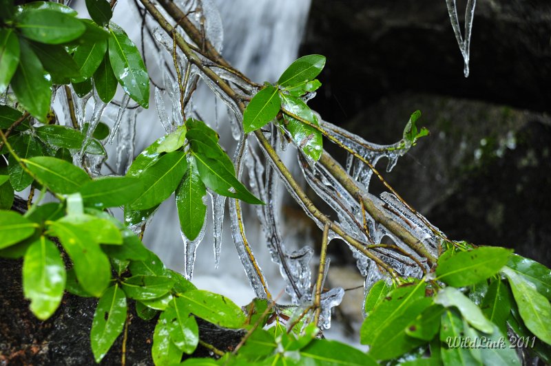 _RJH0036.JPG - Just how cold had it been the past several nights at Hetch Hetchy?  Well, this ought to answer your questions.