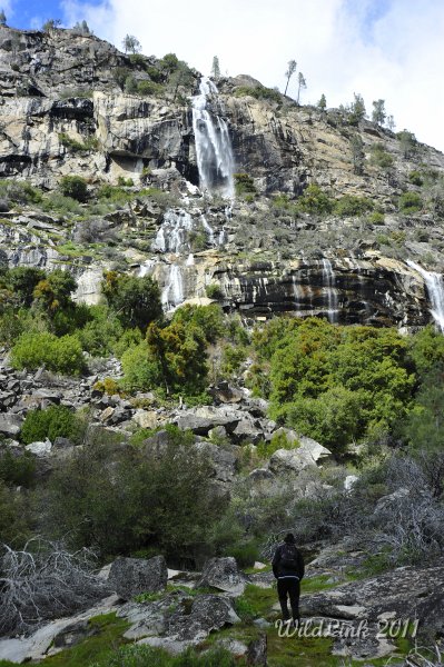 _RJH0085.JPG - Omar looks for inspiration.