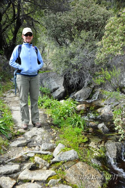 _RJH0090.JPG - Mrs H and I would love to have a stream like this in our back yard.