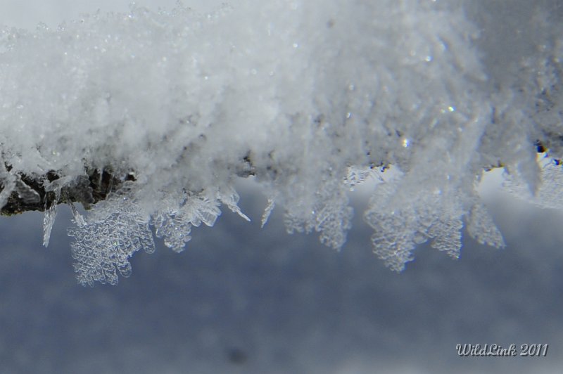 _RJH9864.JPG - A seriously cropped and zoomed look at the hoarfrost crystals.