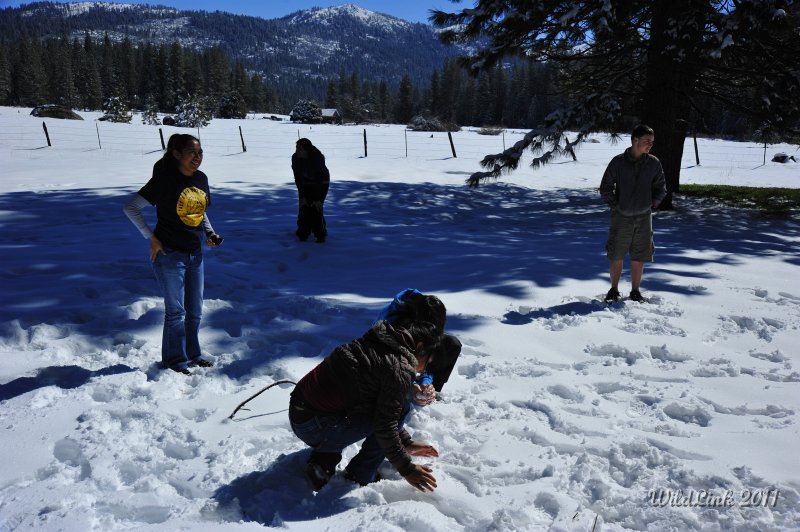 _RJH9869.JPG - Snow!  We weren't quite expecting the fresh blanket of snow, but the kids loved it.