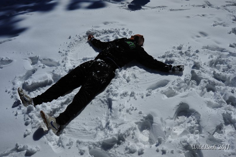 _RJH9876.JPG - Snow angel by Omar.